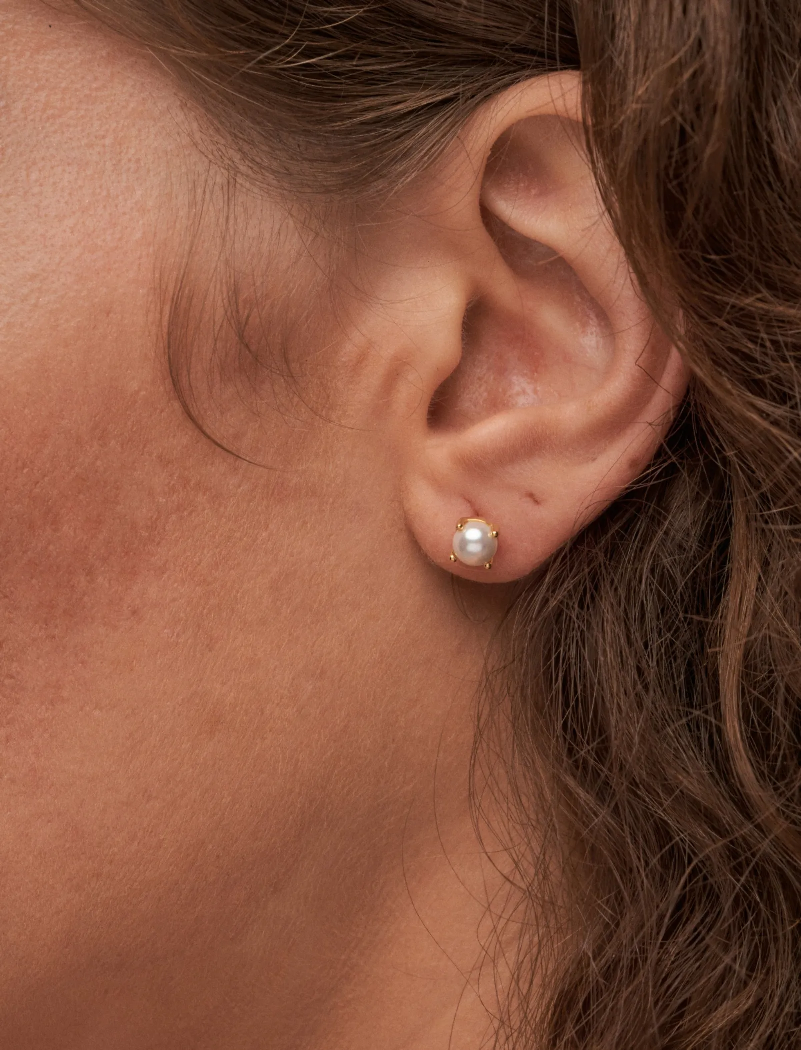 Ava Studs