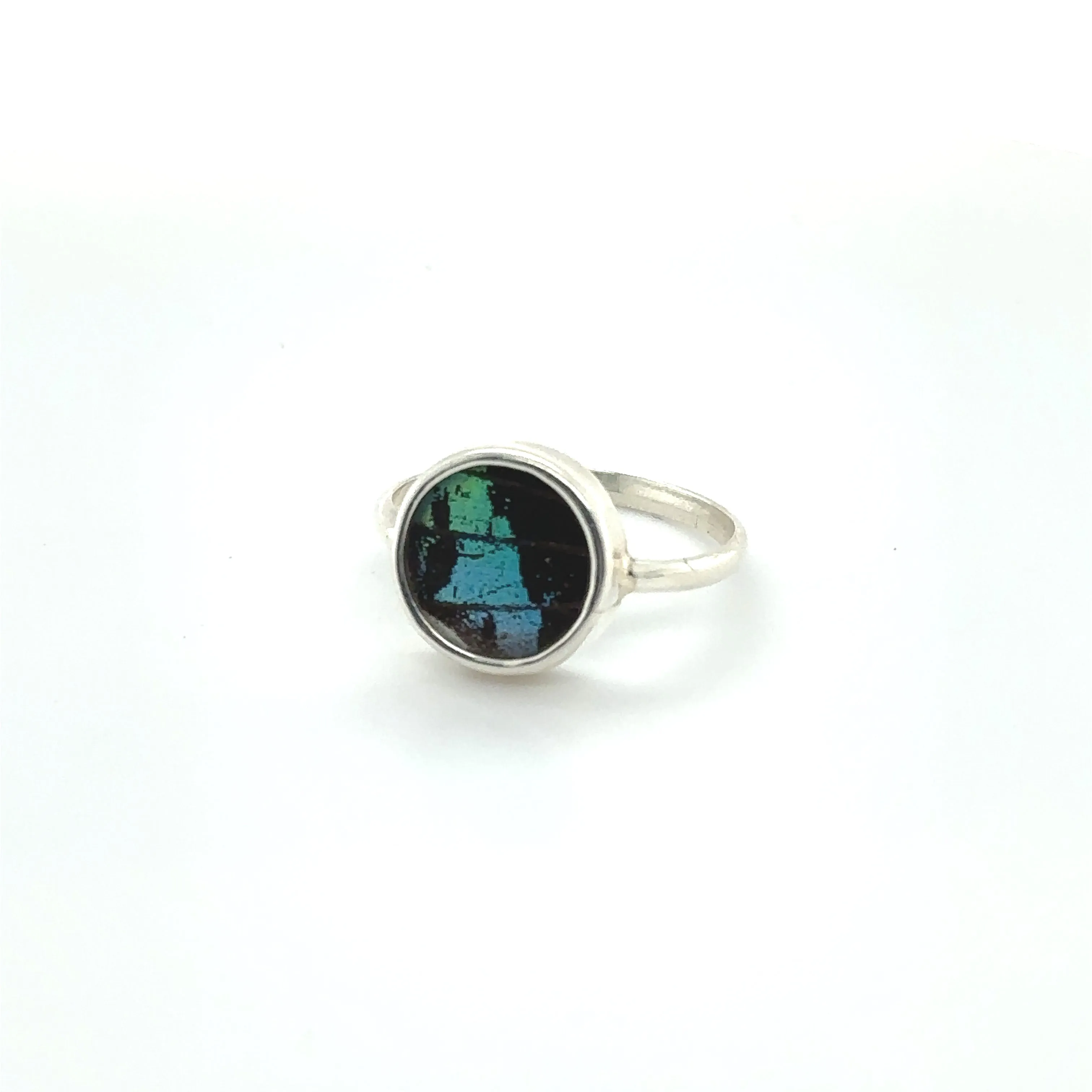 Butterfly Wing Rings in Circle Shape