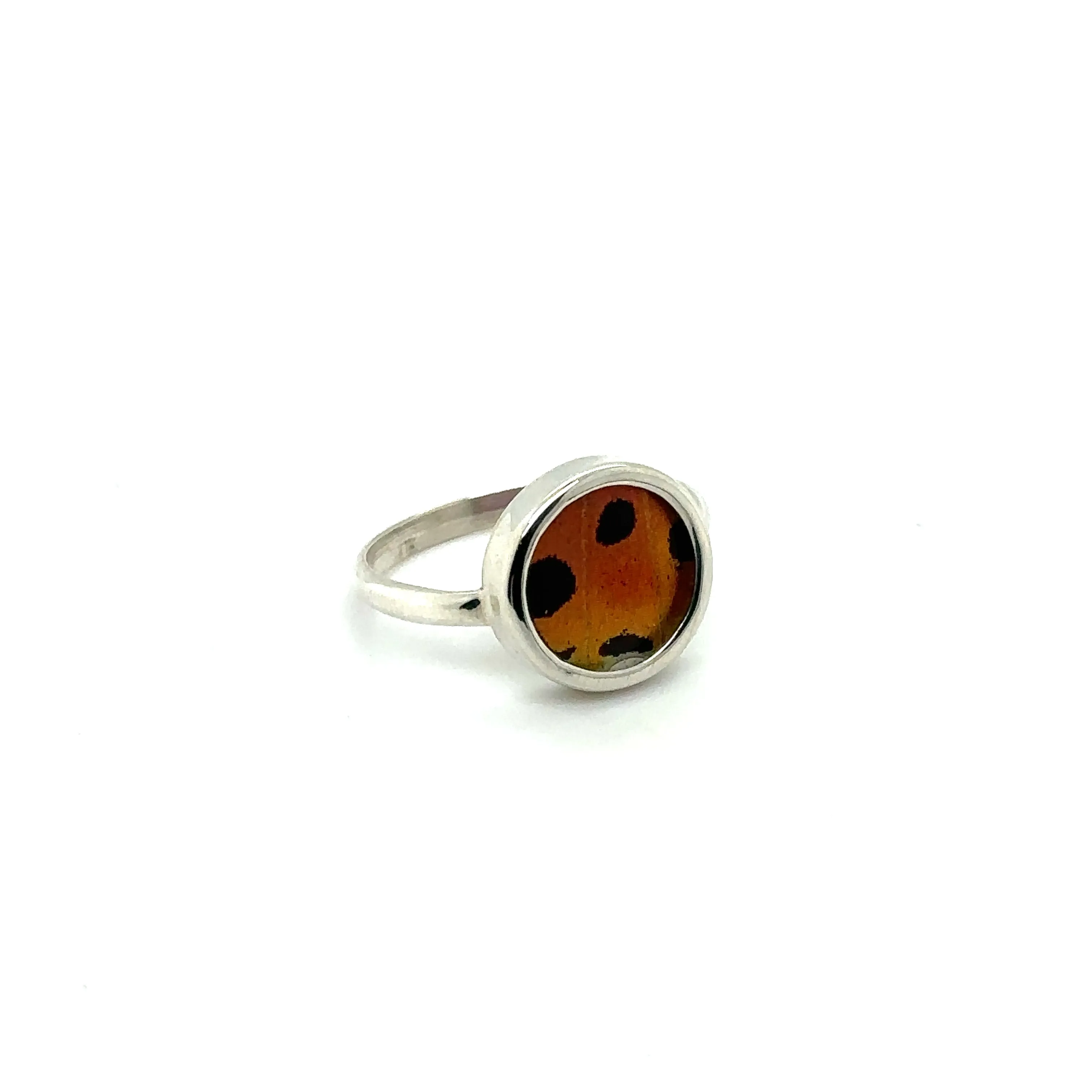 Butterfly Wing Rings in Circle Shape
