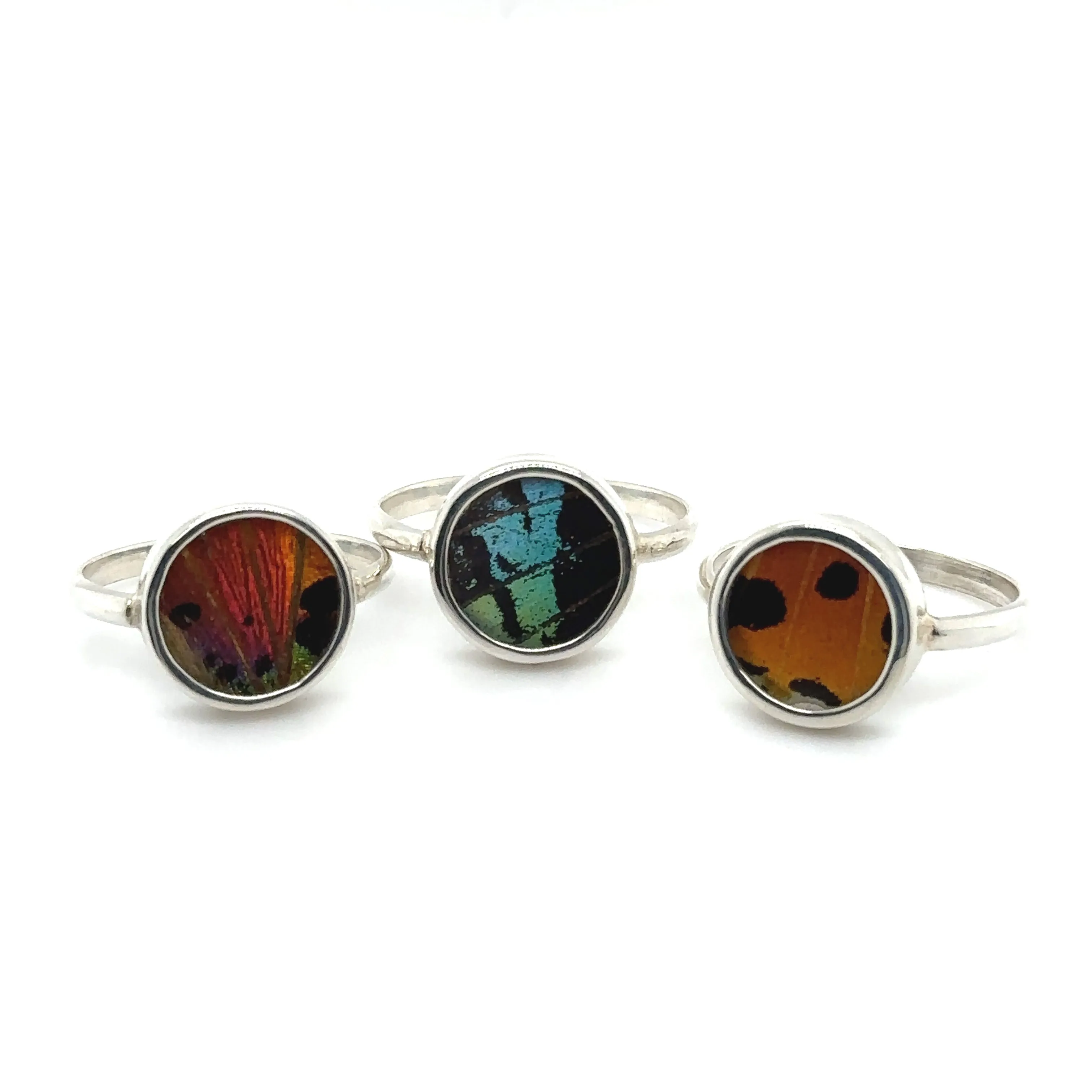 Butterfly Wing Rings in Circle Shape