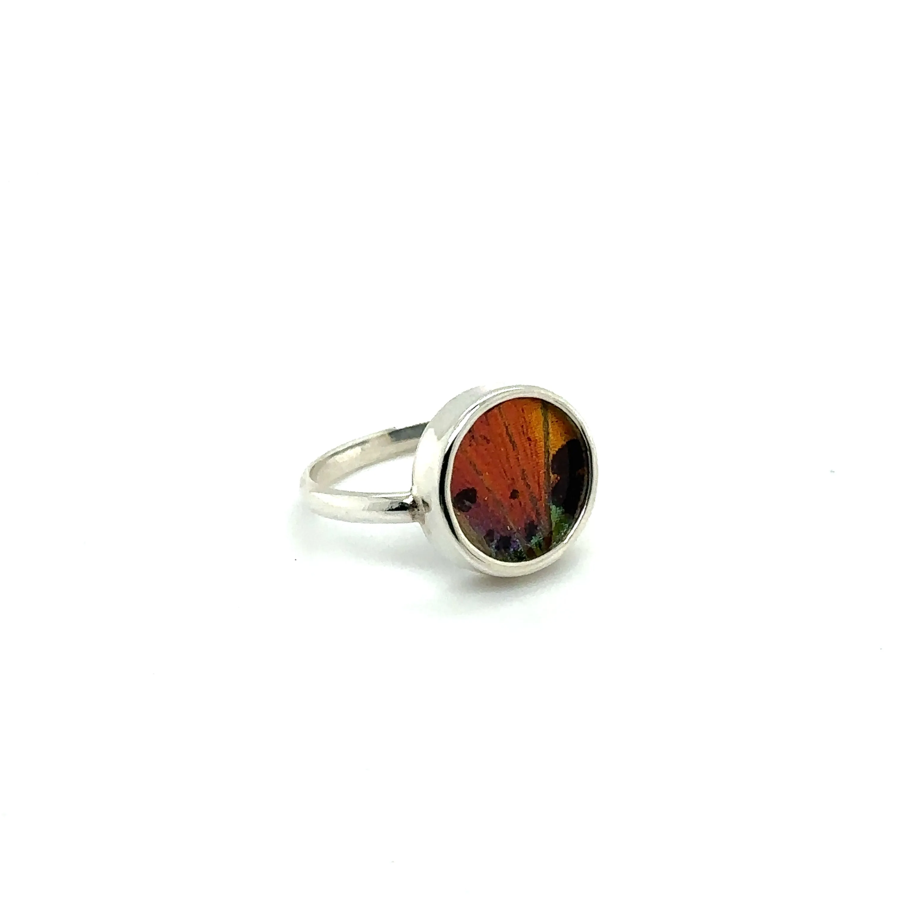 Butterfly Wing Rings in Circle Shape