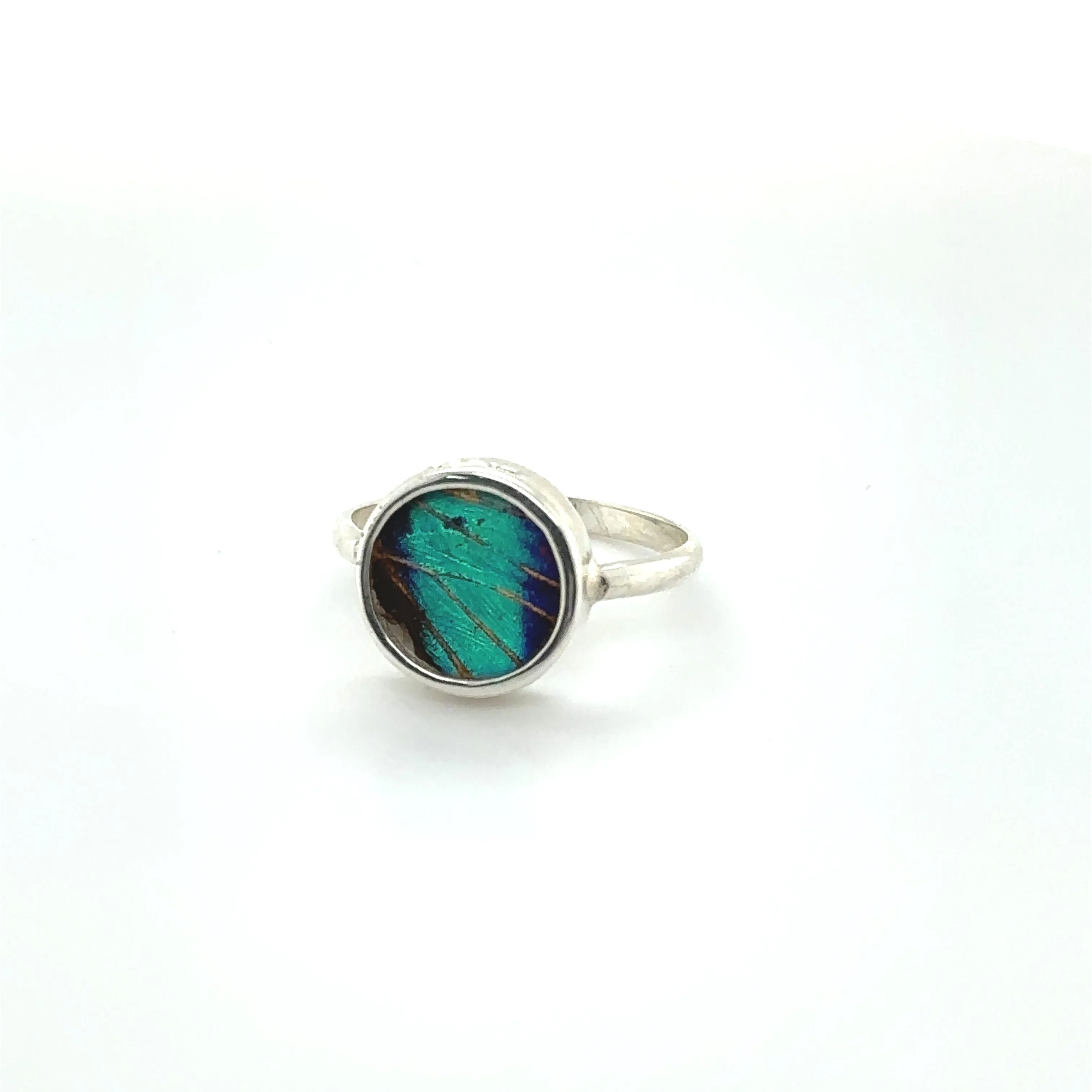 Butterfly Wing Rings in Circle Shape