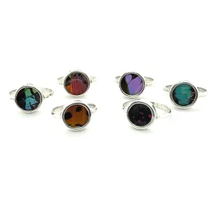 Butterfly Wing Rings in Circle Shape