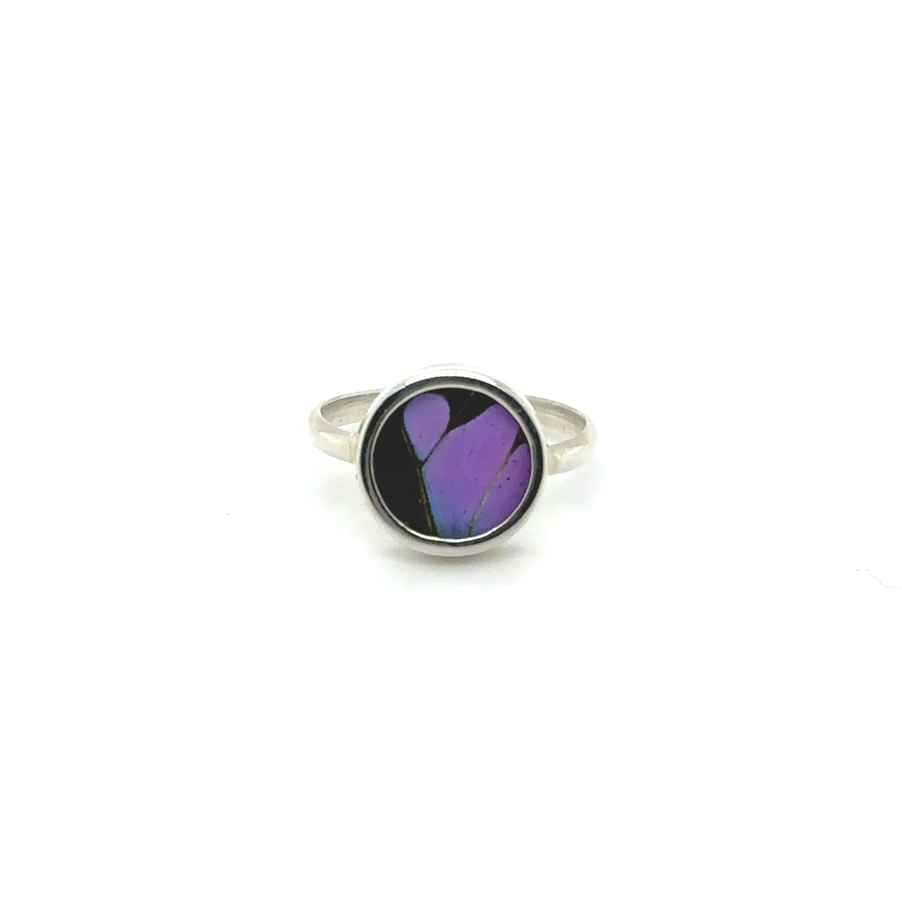 Butterfly Wing Rings in Circle Shape
