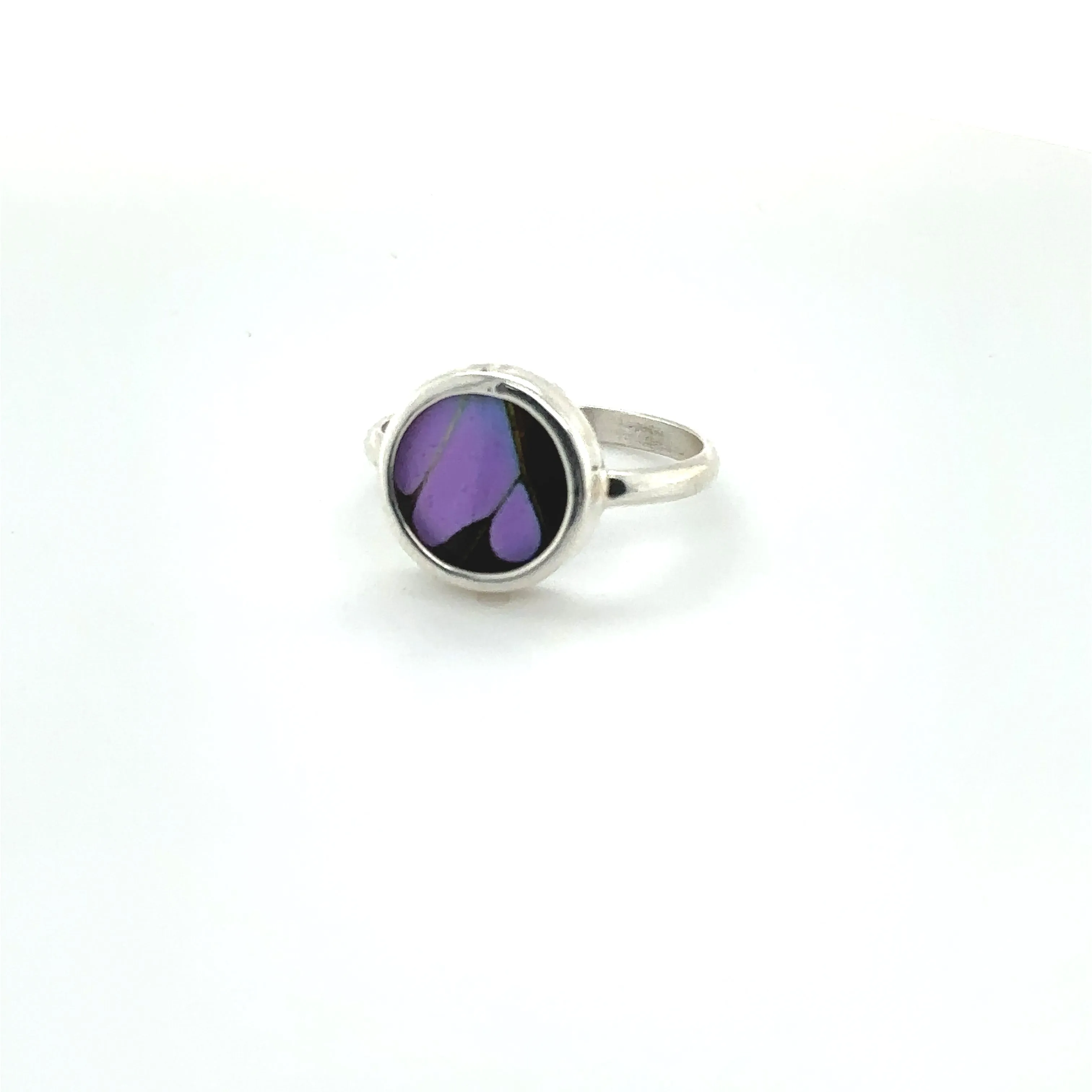 Butterfly Wing Rings in Circle Shape