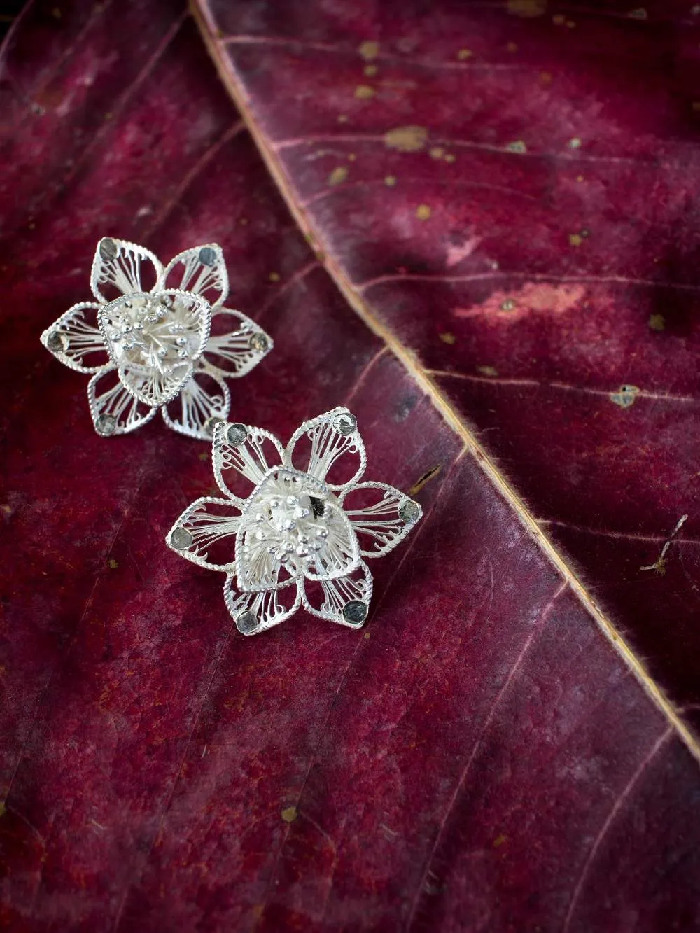 Kusum bloom studs