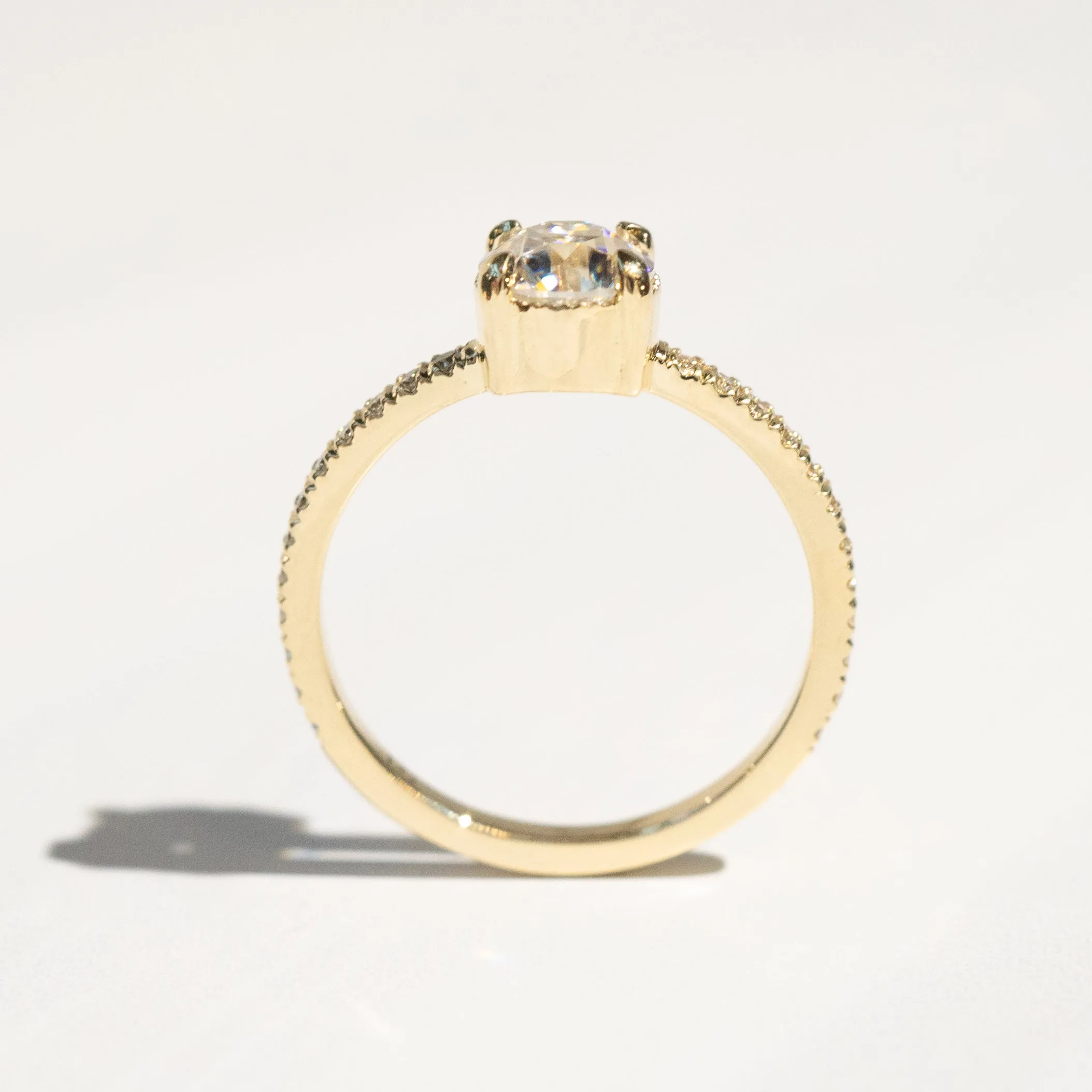 Oak Pavé Solitaire Ring | Moissanite   Lab Diamonds in 14k Yellow Gold
