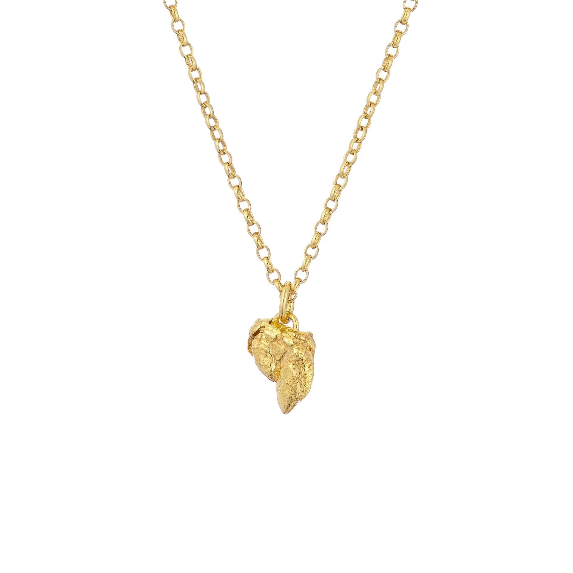 PERCEBES SHELL Necklace