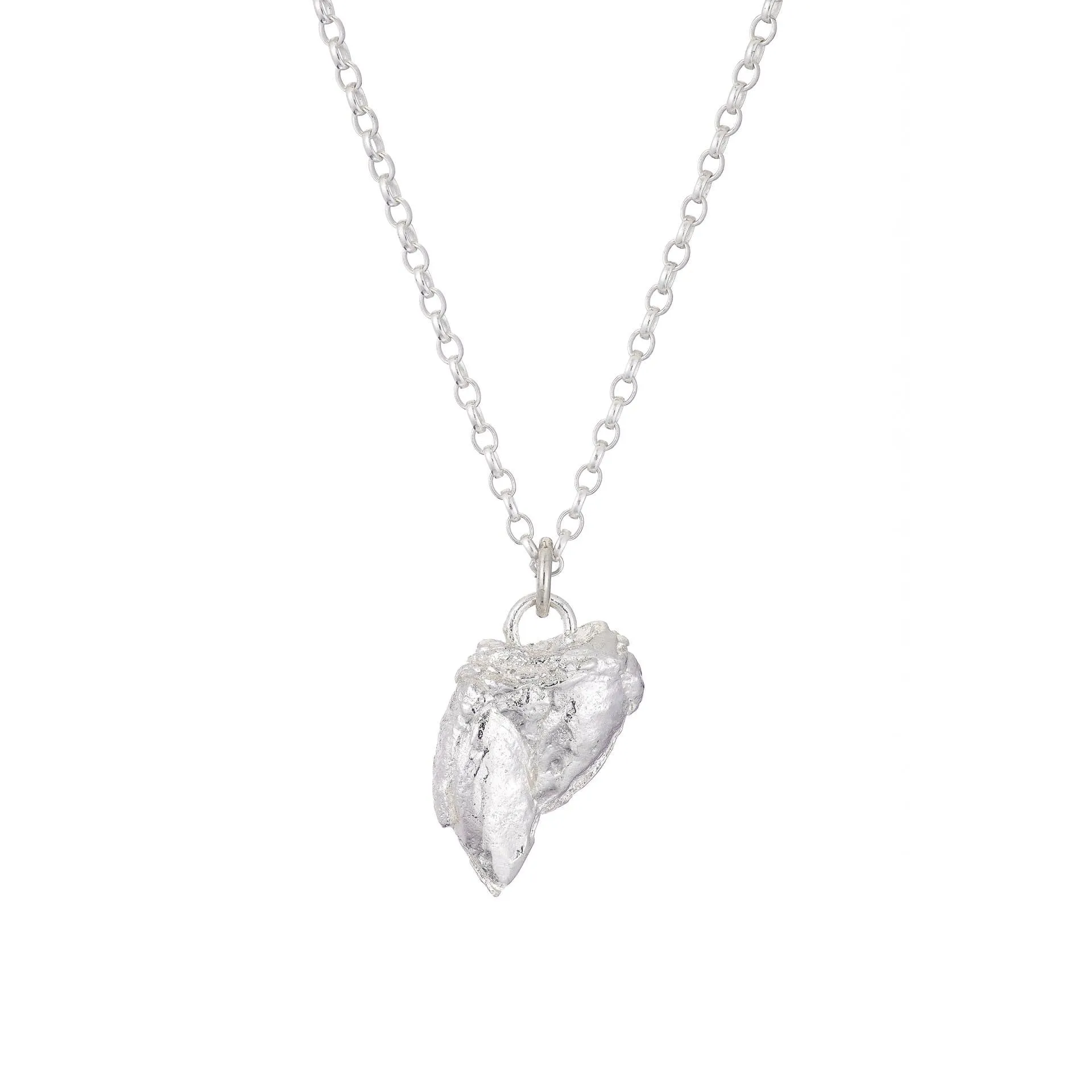 PERCEBES SHELL Necklace