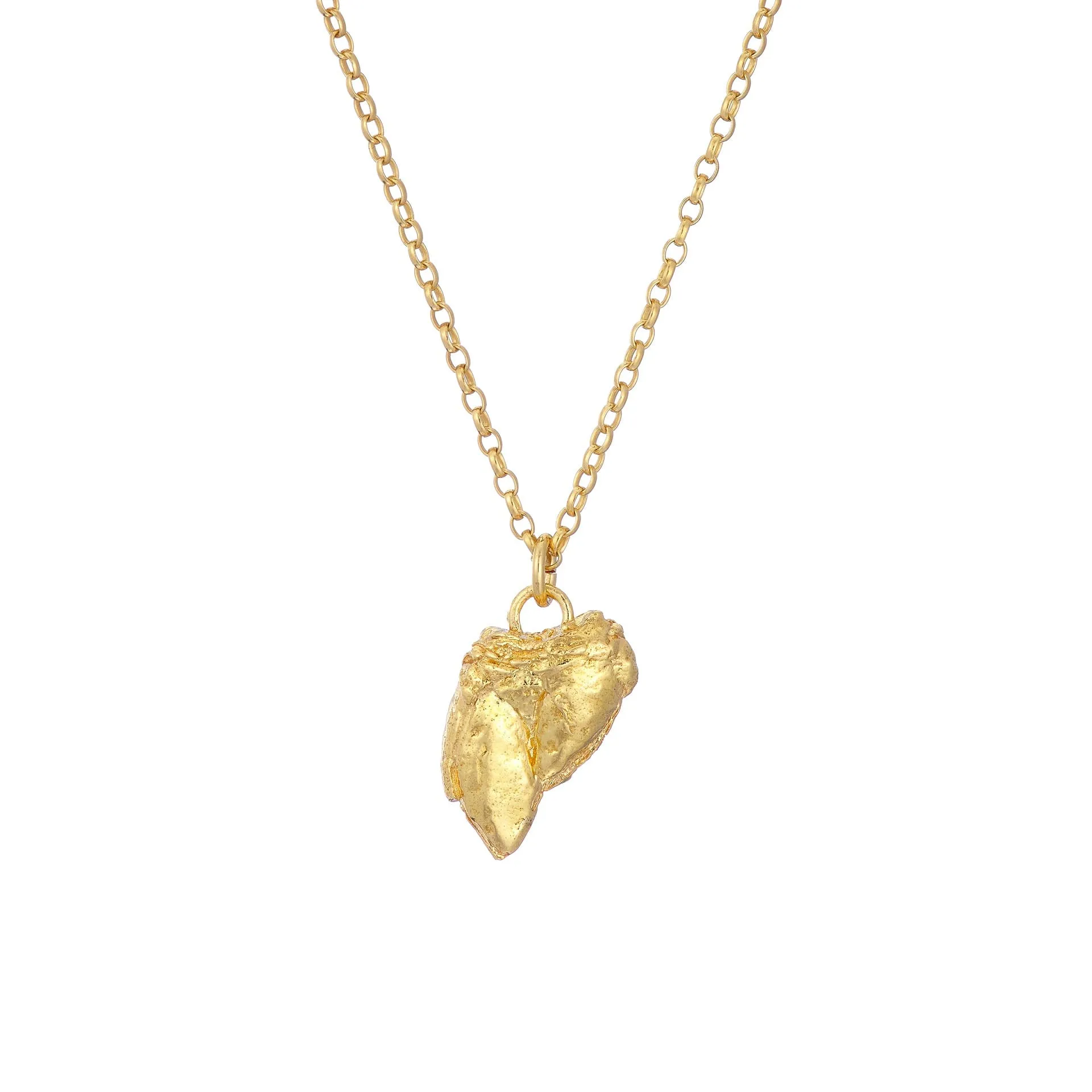PERCEBES SHELL Necklace