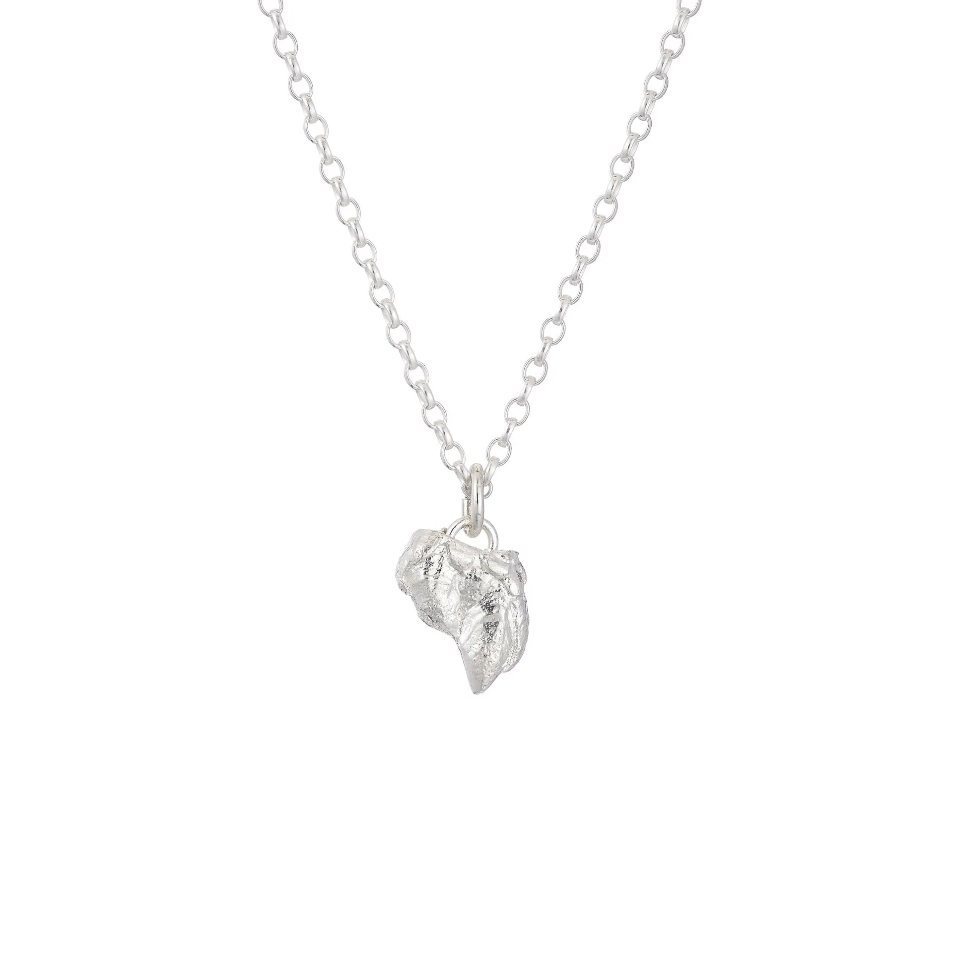 PERCEBES SHELL Necklace
