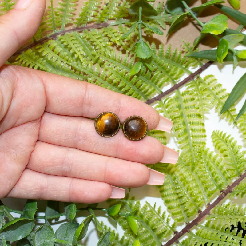 Simple Tiger's Eye Earrings