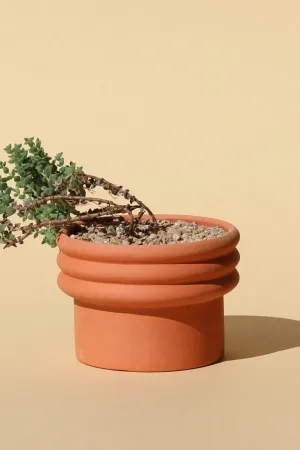 Terracotta Rings 2 Planter